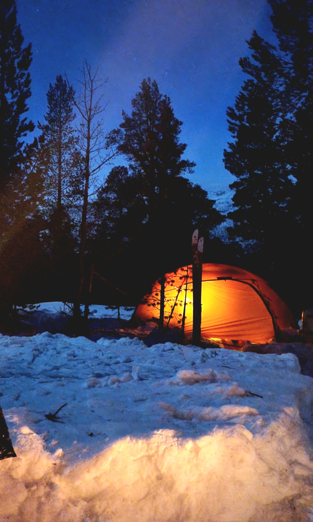 Vintereventyr i Dividalen: utforsk vintertelting i minus 18, magiske furubål og overraskelser!